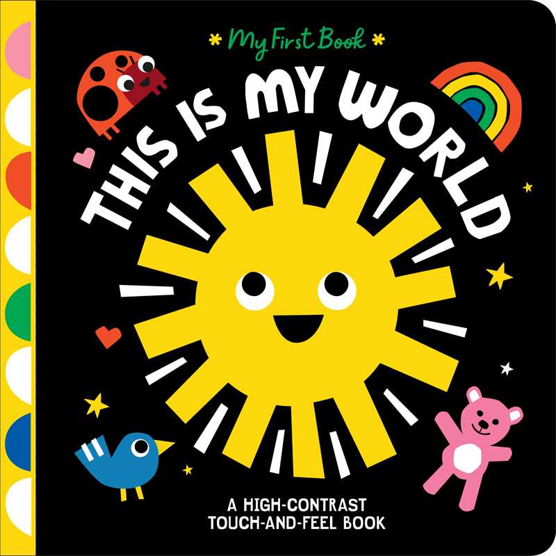 Book cover of 'This is My World' with a sun, rainbow, ladybug, bird, and teddy bear on a black background.